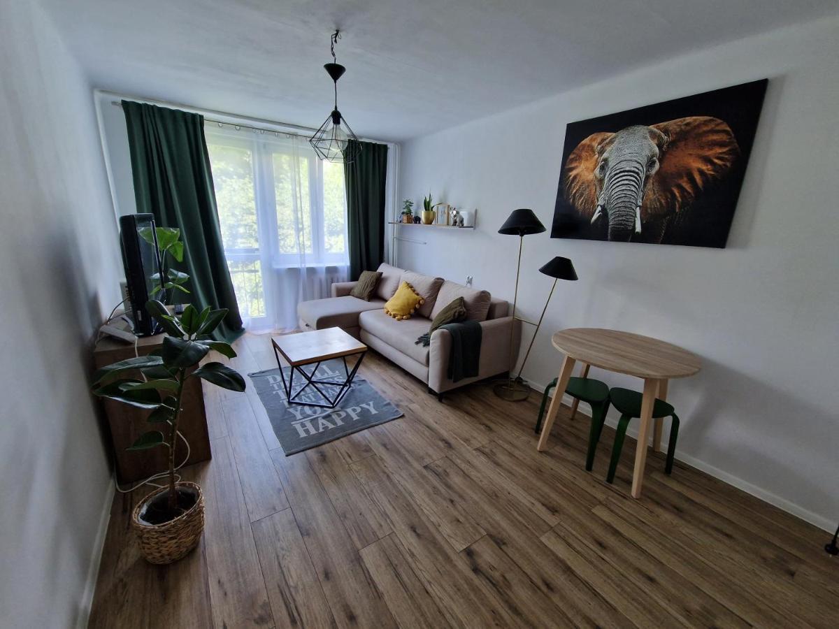 Sienkiewicza Apartament Multi House Жешув Экстерьер фото